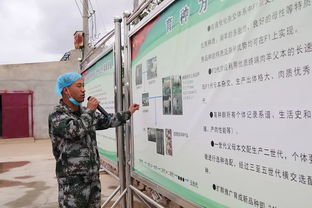 科技賦能，服務(wù)引領(lǐng) 技術(shù)推廣在脫貧攻堅(jiān)與農(nóng)民增收中的核心作用